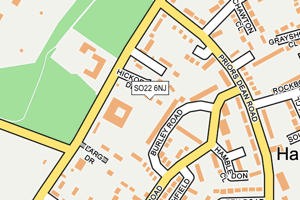 SO22 6NJ map - OS OpenMap – Local (Ordnance Survey)