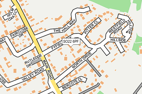 SO22 6PF map - OS OpenMap – Local (Ordnance Survey)