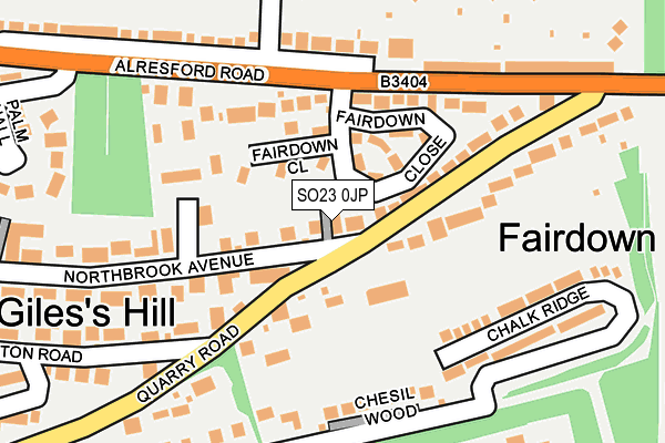 SO23 0JP map - OS OpenMap – Local (Ordnance Survey)