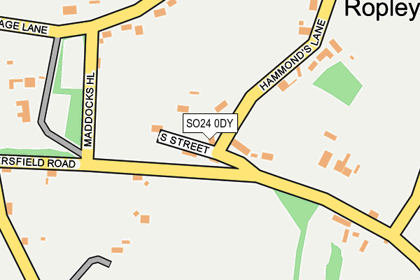 SO24 0DY map - OS OpenMap – Local (Ordnance Survey)