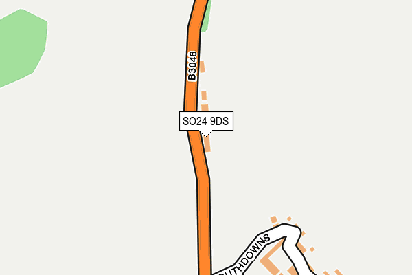 SO24 9DS map - OS OpenMap – Local (Ordnance Survey)