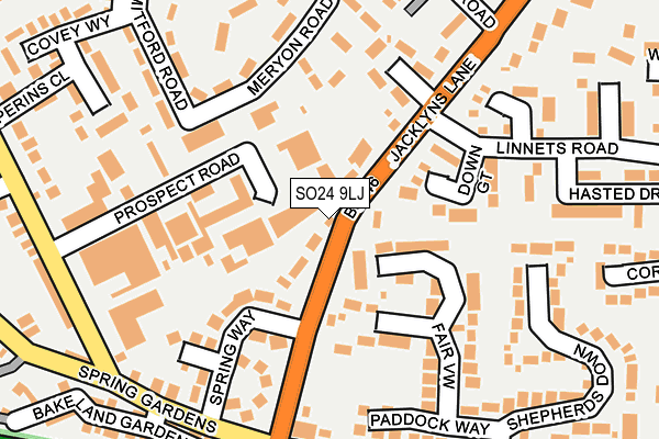 SO24 9LJ map - OS OpenMap – Local (Ordnance Survey)