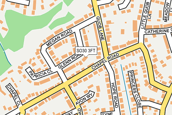 SO30 3FT map - OS OpenMap – Local (Ordnance Survey)