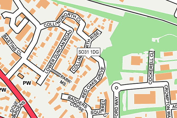 SO31 1DG map - OS OpenMap – Local (Ordnance Survey)