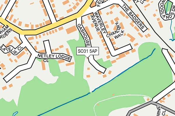 SO31 5AP map - OS OpenMap – Local (Ordnance Survey)