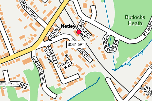 SO31 5PT map - OS OpenMap – Local (Ordnance Survey)