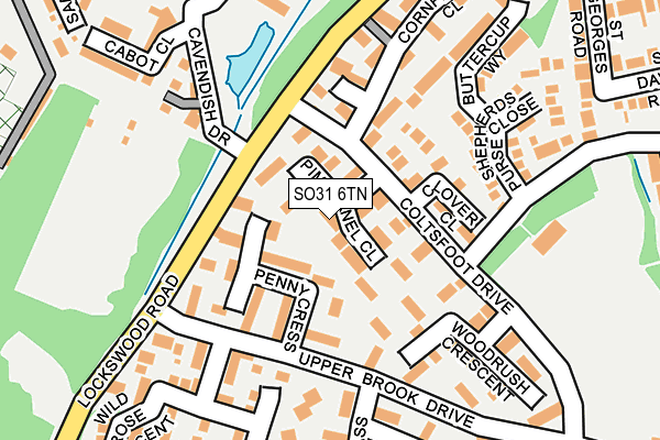 SO31 6TN map - OS OpenMap – Local (Ordnance Survey)