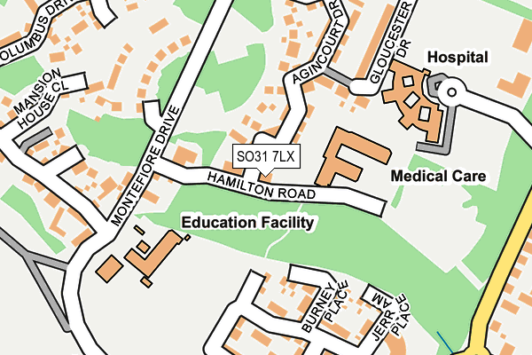 SO31 7LX map - OS OpenMap – Local (Ordnance Survey)