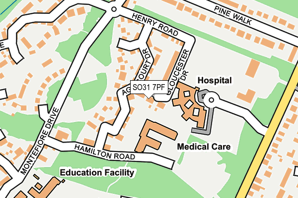 SO31 7PF map - OS OpenMap – Local (Ordnance Survey)