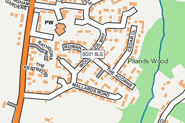 SO31 8LG map - OS OpenMap – Local (Ordnance Survey)