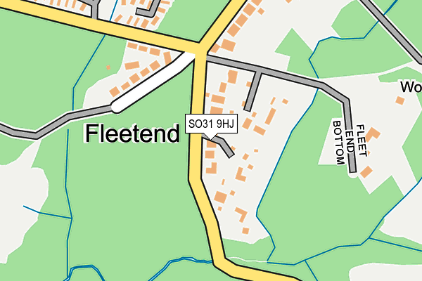 SO31 9HJ map - OS OpenMap – Local (Ordnance Survey)