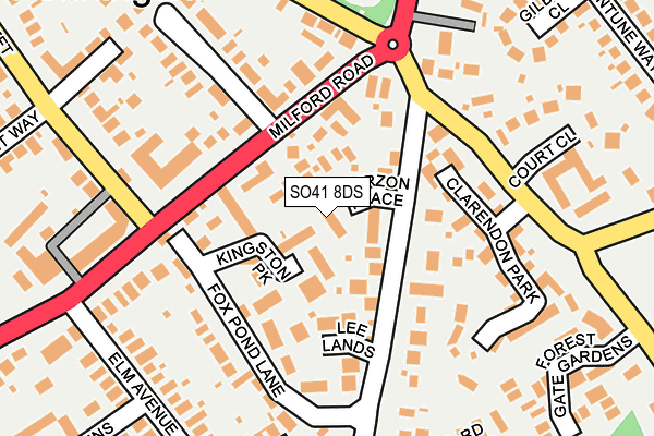 SO41 8DS map - OS OpenMap – Local (Ordnance Survey)
