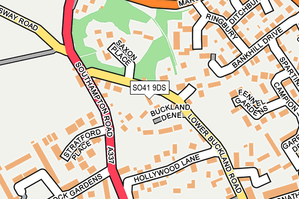 SO41 9DS map - OS OpenMap – Local (Ordnance Survey)