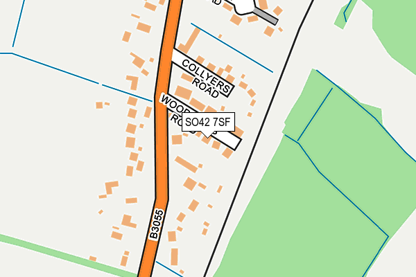 SO42 7SF map - OS OpenMap – Local (Ordnance Survey)