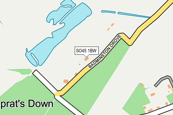 SO45 1BW map - OS OpenMap – Local (Ordnance Survey)