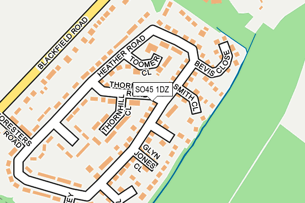 SO45 1DZ map - OS OpenMap – Local (Ordnance Survey)
