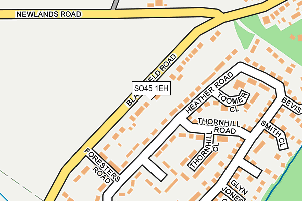 SO45 1EH map - OS OpenMap – Local (Ordnance Survey)