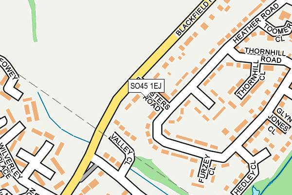 SO45 1EJ map - OS OpenMap – Local (Ordnance Survey)