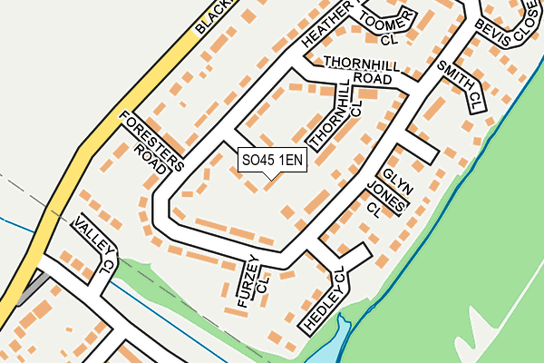 SO45 1EN map - OS OpenMap – Local (Ordnance Survey)