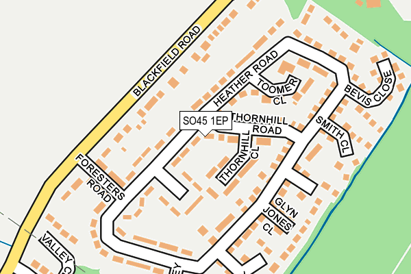 SO45 1EP map - OS OpenMap – Local (Ordnance Survey)