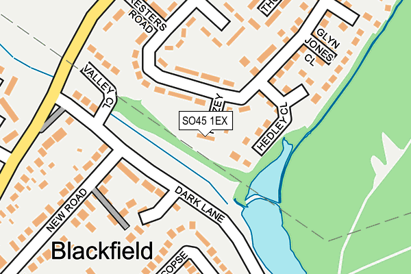 SO45 1EX map - OS OpenMap – Local (Ordnance Survey)