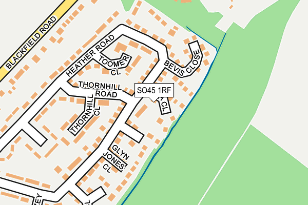 SO45 1RF map - OS OpenMap – Local (Ordnance Survey)