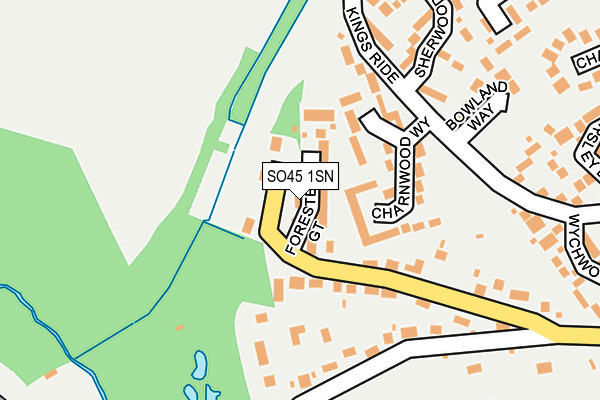 SO45 1SN map - OS OpenMap – Local (Ordnance Survey)