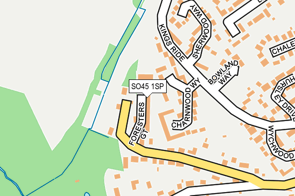 SO45 1SP map - OS OpenMap – Local (Ordnance Survey)