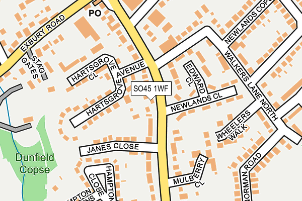 SO45 1WF map - OS OpenMap – Local (Ordnance Survey)