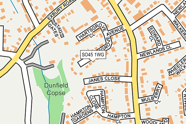 SO45 1WG map - OS OpenMap – Local (Ordnance Survey)