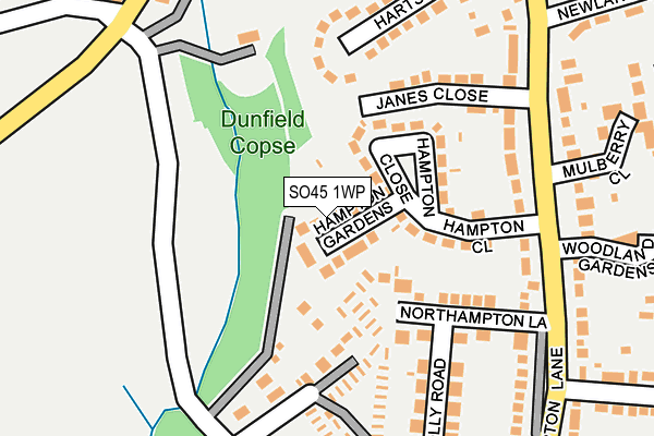 SO45 1WP map - OS OpenMap – Local (Ordnance Survey)