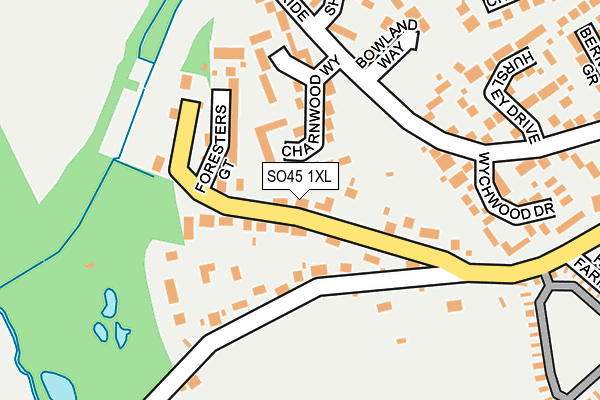 SO45 1XL map - OS OpenMap – Local (Ordnance Survey)