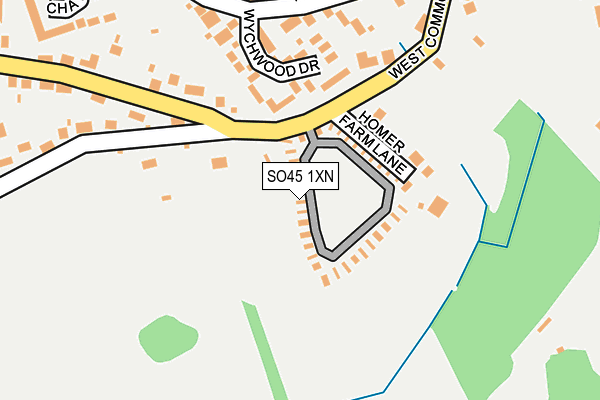 SO45 1XN map - OS OpenMap – Local (Ordnance Survey)