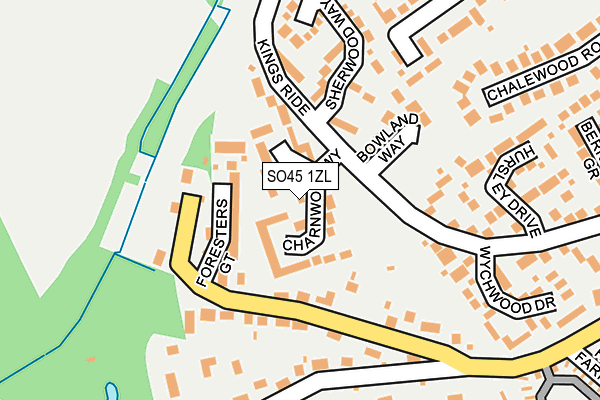 SO45 1ZL map - OS OpenMap – Local (Ordnance Survey)