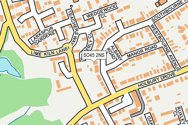 SO45 2NS map - OS OpenMap – Local (Ordnance Survey)