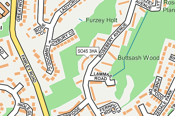 SO45 3HA map - OS OpenMap – Local (Ordnance Survey)