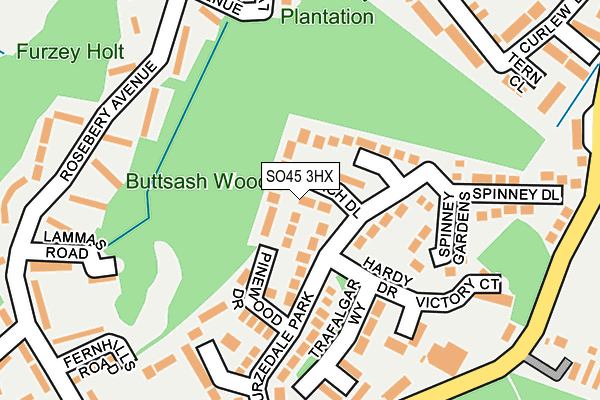 SO45 3HX map - OS OpenMap – Local (Ordnance Survey)