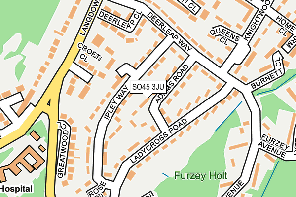 SO45 3JU map - OS OpenMap – Local (Ordnance Survey)