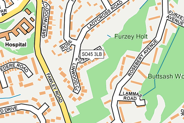 SO45 3LB map - OS OpenMap – Local (Ordnance Survey)