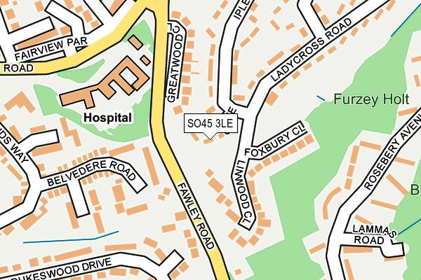 SO45 3LE map - OS OpenMap – Local (Ordnance Survey)