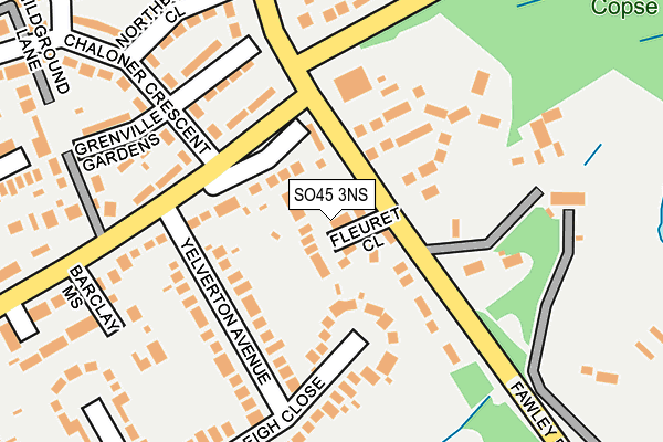 SO45 3NS map - OS OpenMap – Local (Ordnance Survey)