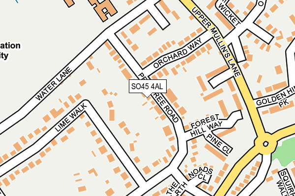 SO45 4AL map - OS OpenMap – Local (Ordnance Survey)
