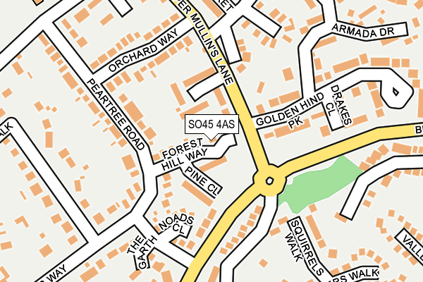 SO45 4AS map - OS OpenMap – Local (Ordnance Survey)