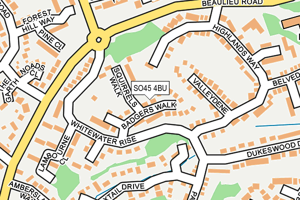 SO45 4BU map - OS OpenMap – Local (Ordnance Survey)