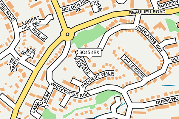 SO45 4BX map - OS OpenMap – Local (Ordnance Survey)