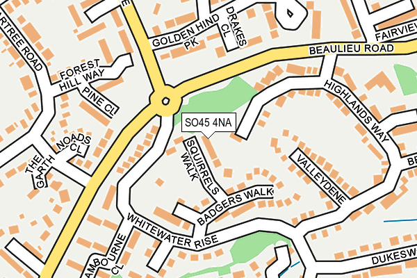 SO45 4NA map - OS OpenMap – Local (Ordnance Survey)