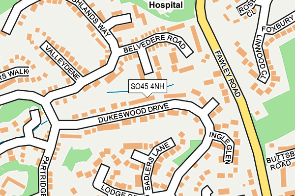 SO45 4NH map - OS OpenMap – Local (Ordnance Survey)