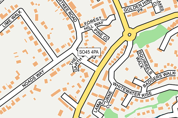 SO45 4PA map - OS OpenMap – Local (Ordnance Survey)