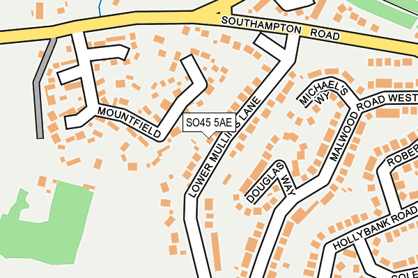 SO45 5AE map - OS OpenMap – Local (Ordnance Survey)
