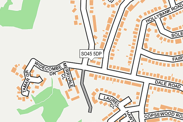 SO45 5DP map - OS OpenMap – Local (Ordnance Survey)